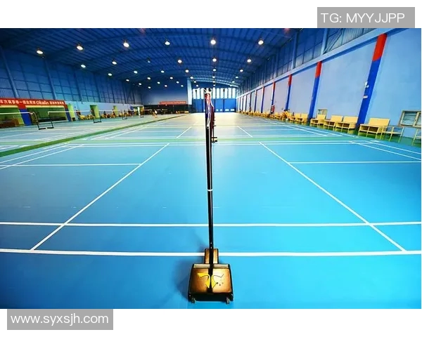 广州羽毛球队个人能力提升之路探讨与分析 广州羽毛球队个人能力提升之路探讨与分析