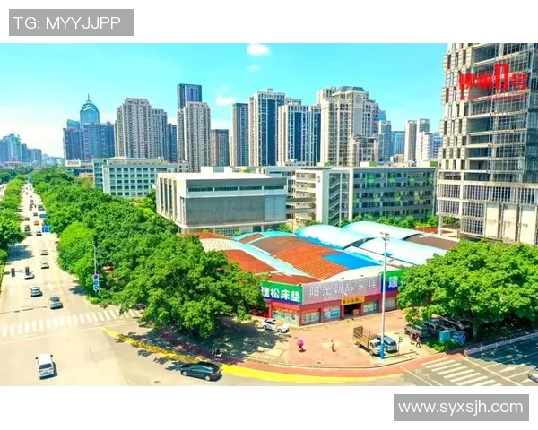 杭州乒乓球队防守革新之路探秘与未来发展展望 杭州乒乓球队防守革新之路探秘与未来发展展望